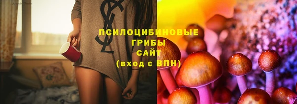 каннабис Аркадак