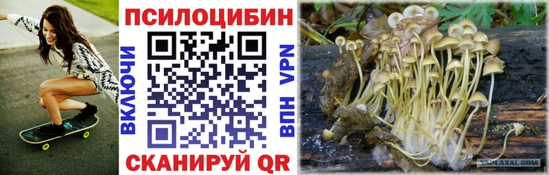 Псилоцибиновые грибы Psilocybe  Купить закладки  Бирск 